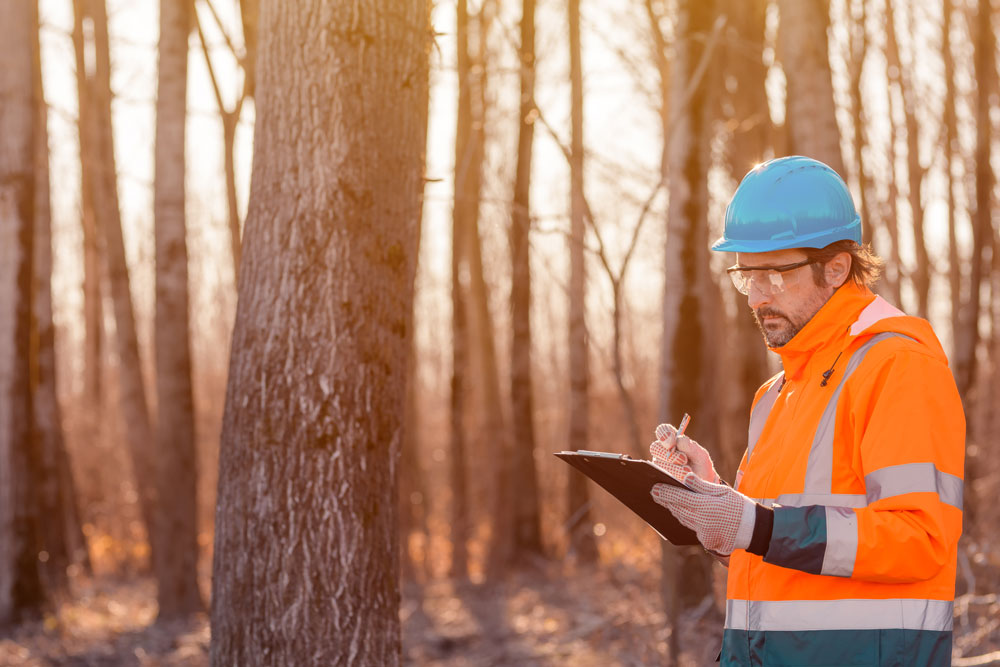 a construction worker in an orange safety vest and hard hat takes notes on a clipboard