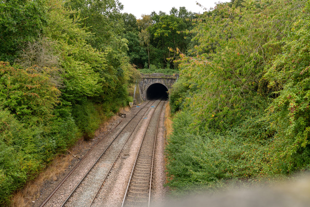a dark tunnel surrounded by dense green woods